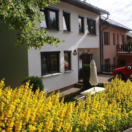 U Machacku - Lipno Lejlighed Lipno nad Vltavou Eksteriør billede