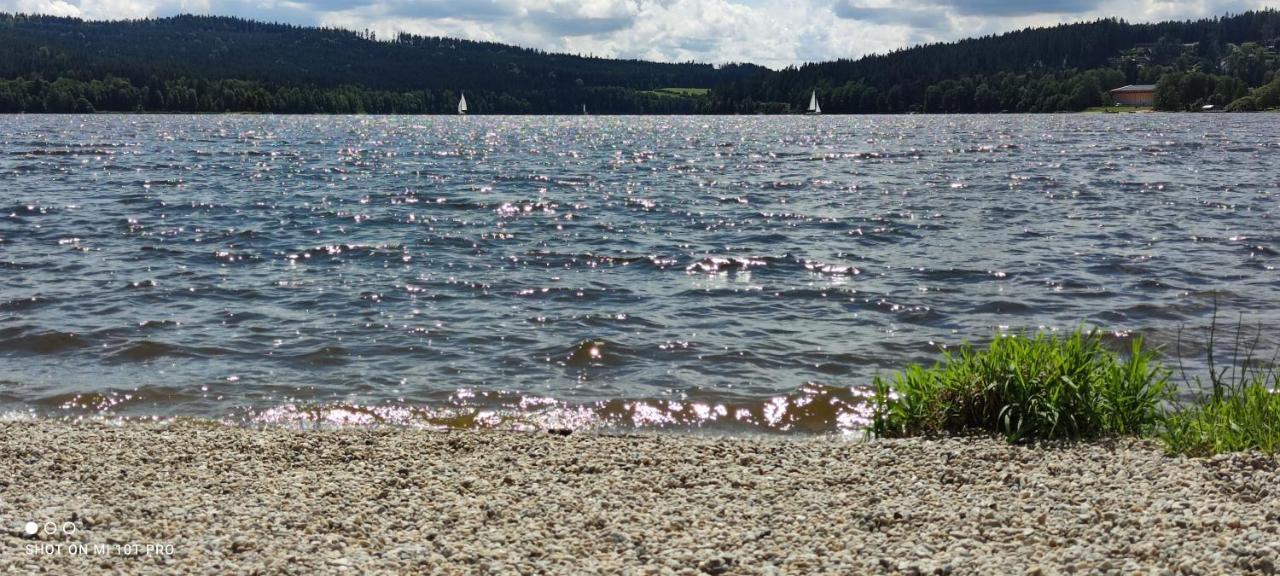 U Machacku - Lipno Lejlighed Lipno nad Vltavou Eksteriør billede
