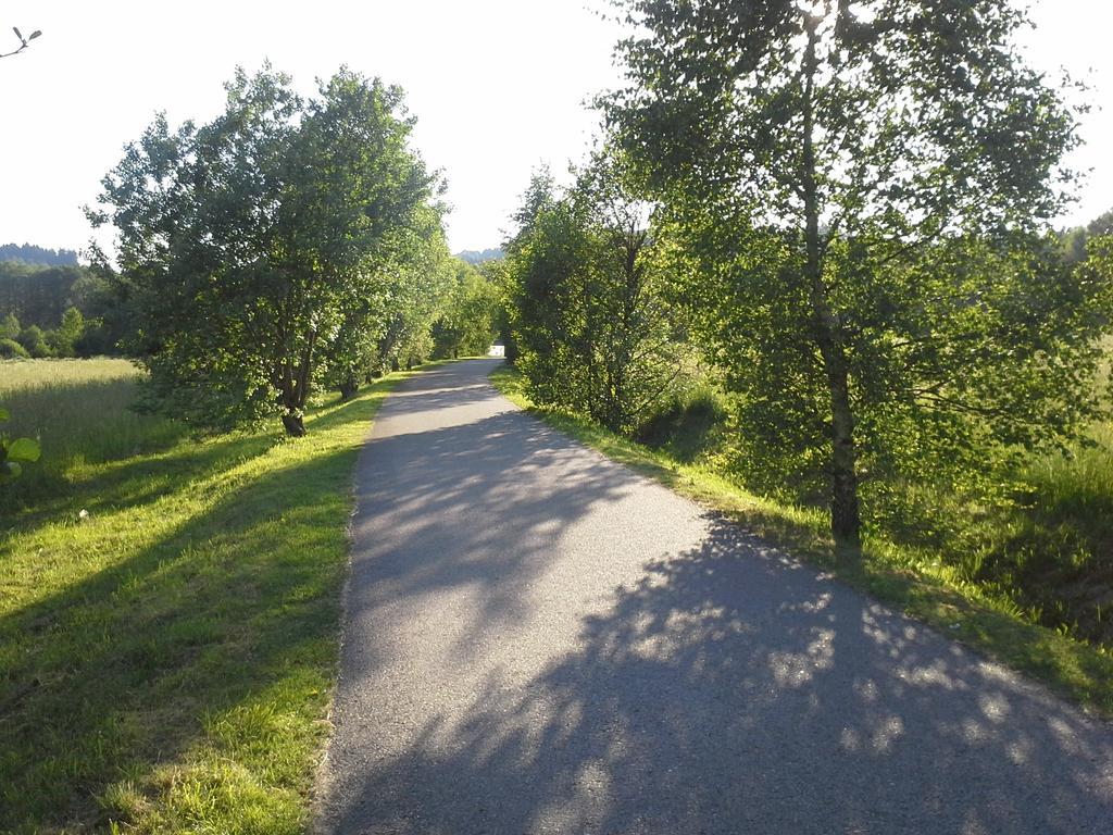 U Machacku - Lipno Lejlighed Lipno nad Vltavou Eksteriør billede