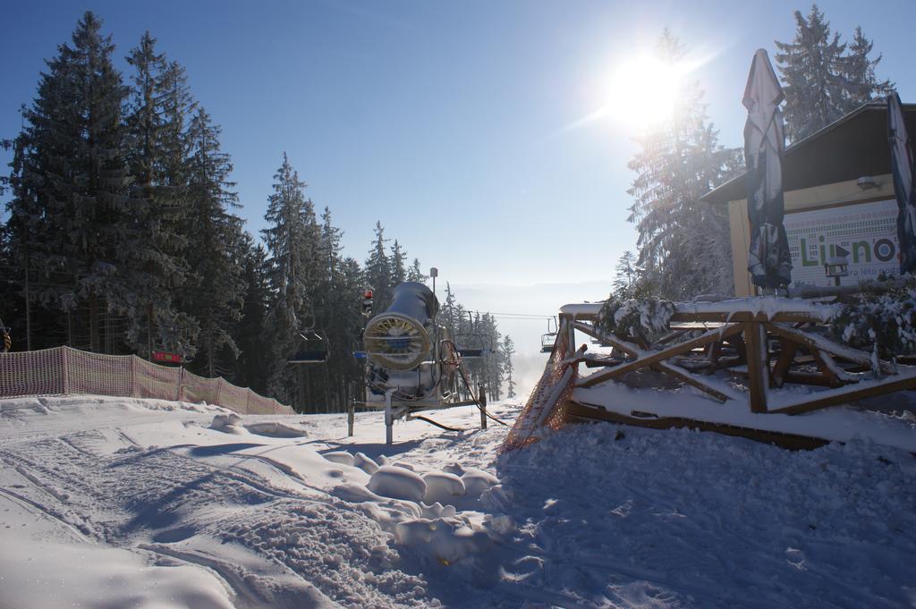 U Machacku - Lipno Lejlighed Lipno nad Vltavou Eksteriør billede