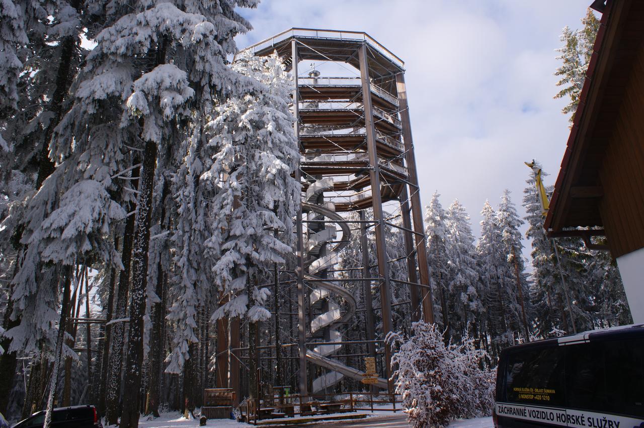 U Machacku - Lipno Lejlighed Lipno nad Vltavou Eksteriør billede