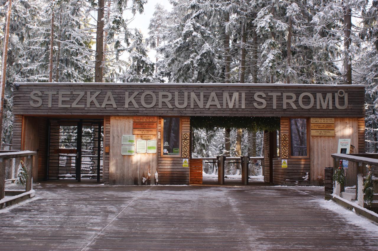 U Machacku - Lipno Lejlighed Lipno nad Vltavou Eksteriør billede